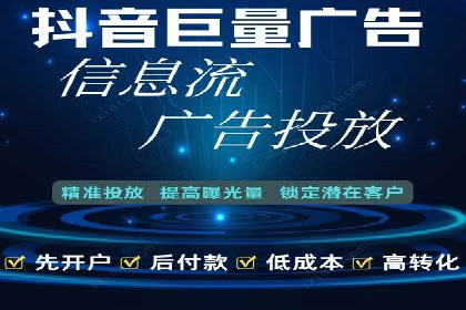 大型SEM服务公司案例分析
